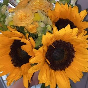 Meet your Posher, Mona